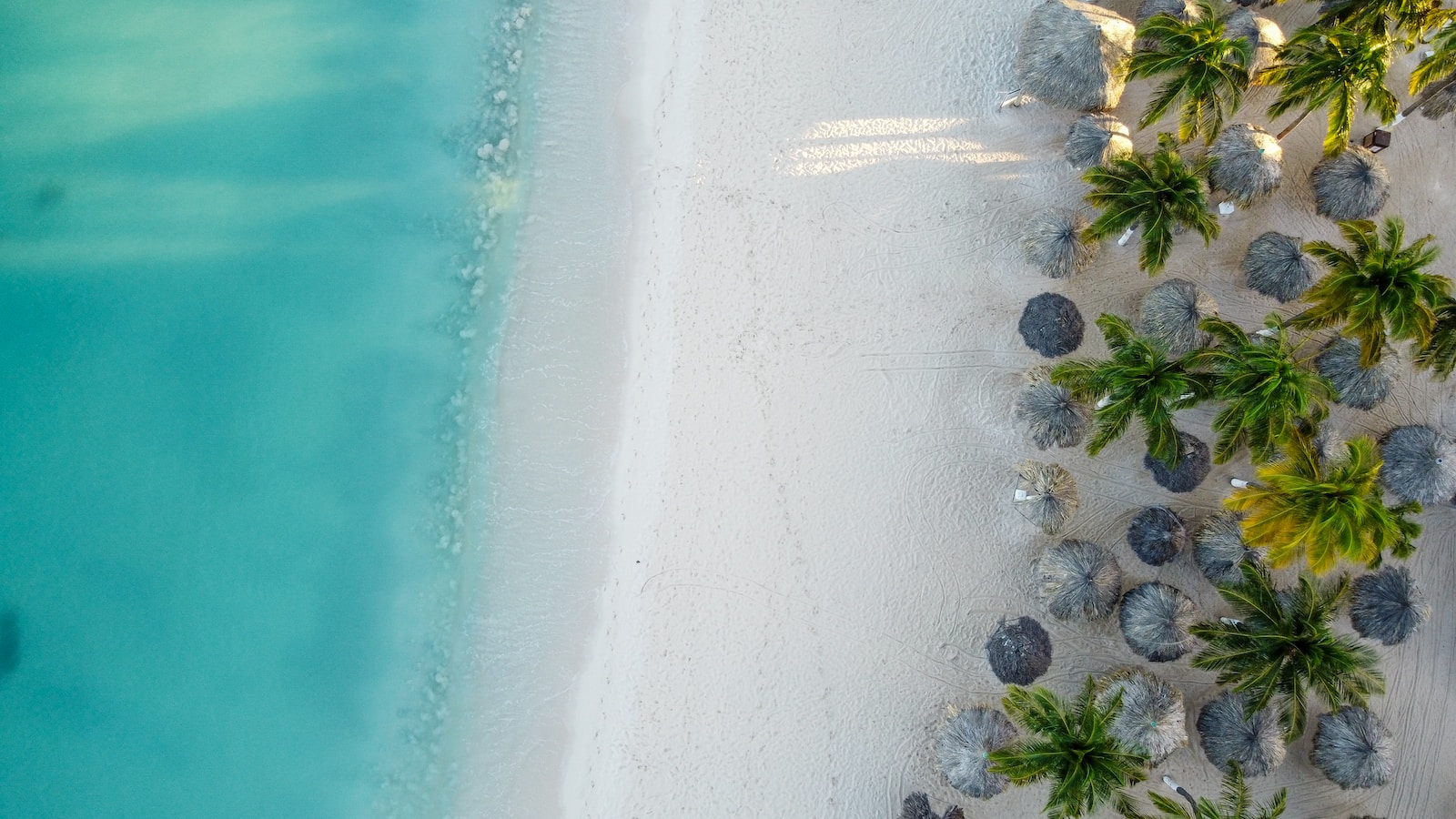 Sample ED Card For Aruba Travel To Aruba Stress Free And Plant 1 Tree 